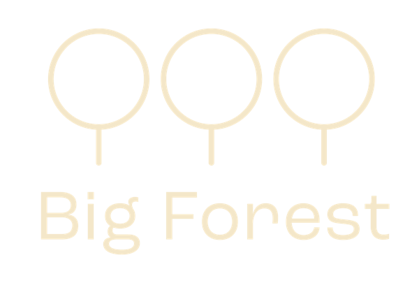 Big Forest